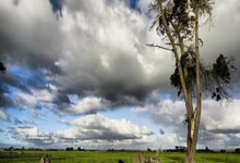 塔图姆迎来十五赛季出色发挥，热火观众热烈欢呼！